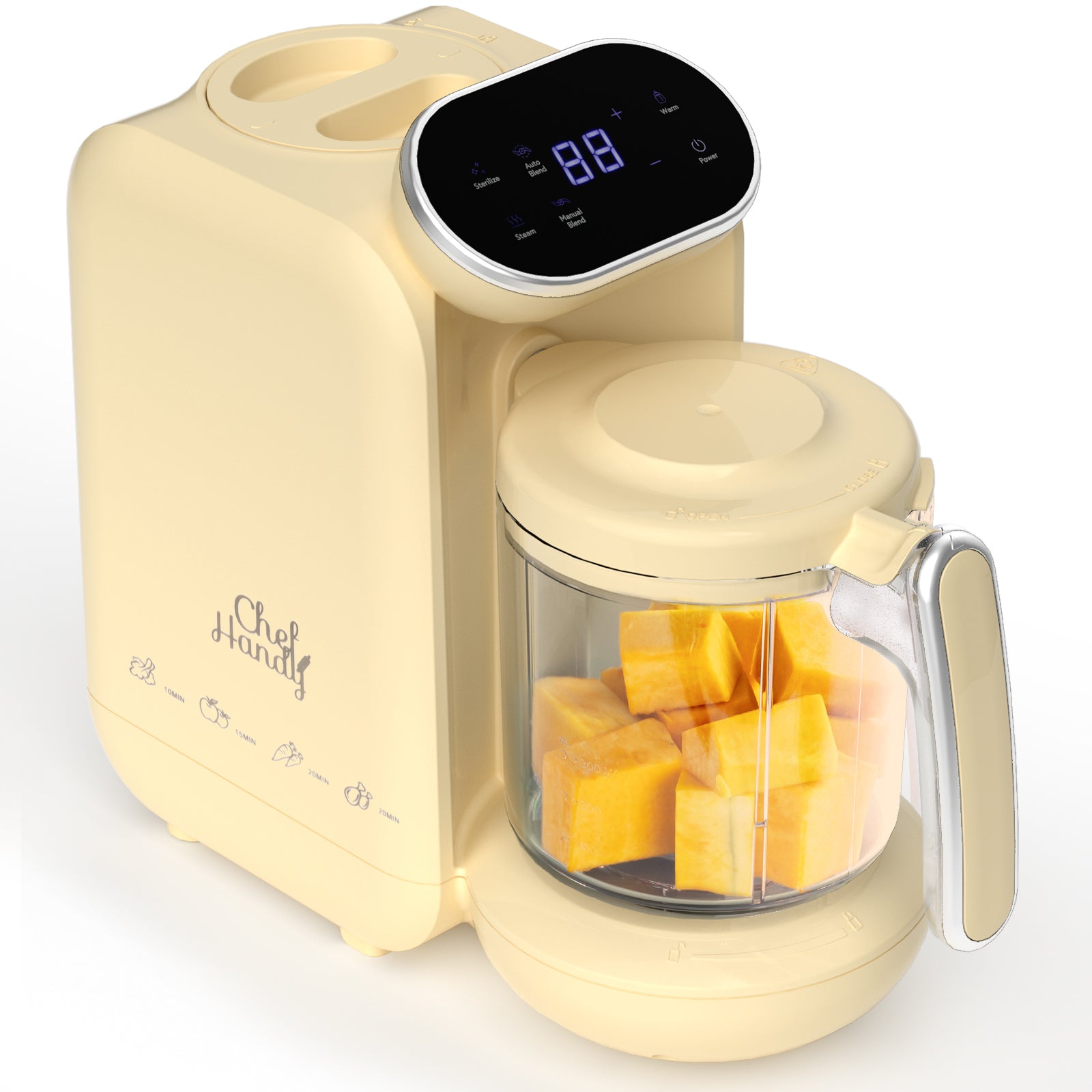 Baby Food Processor